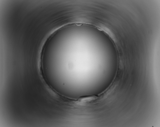 X0000089861136200707121731