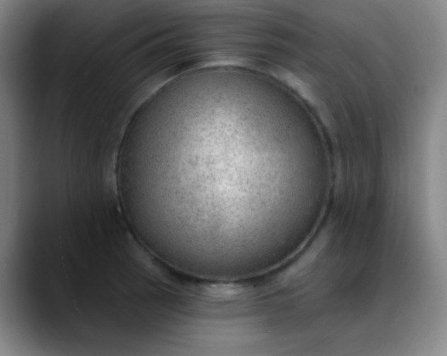 X0000089861137200707121731