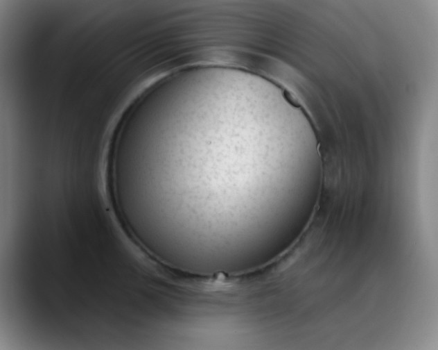 X0000089861139200707121731