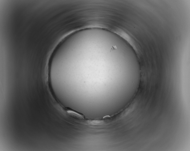 X0000089861140200707121731