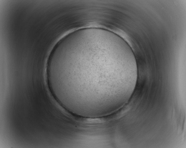 X0000089861142200707121731