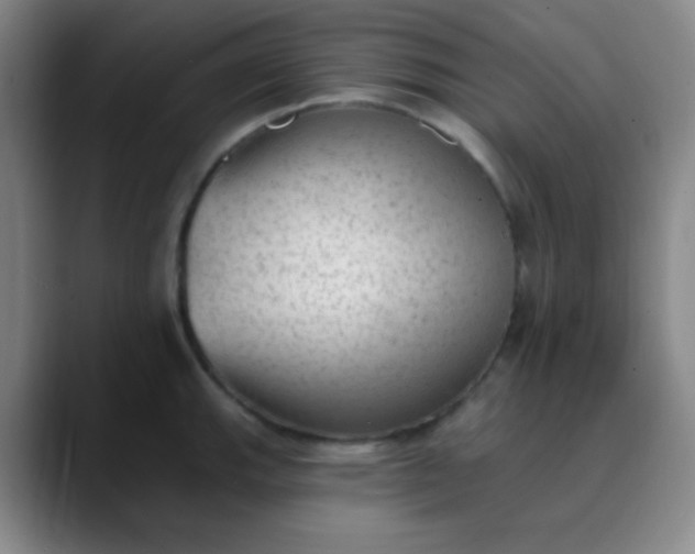 X0000089861143200707121731