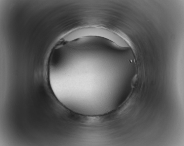 X0000089861144200707121731