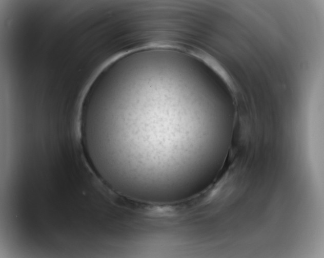 X0000089861148200707121731