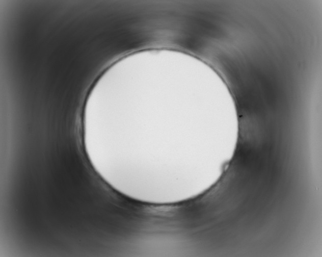 X0000089861150200707121731