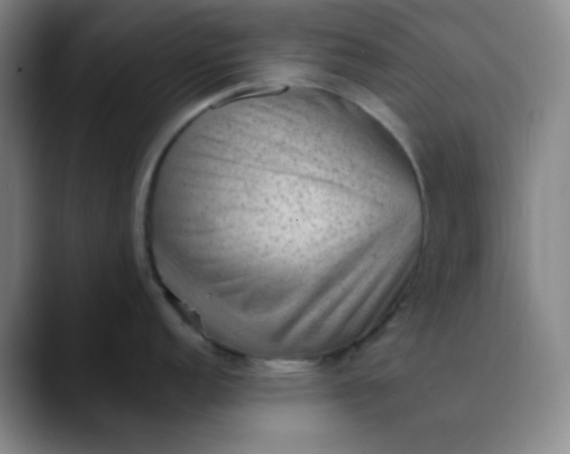 X0000089861152200707121731