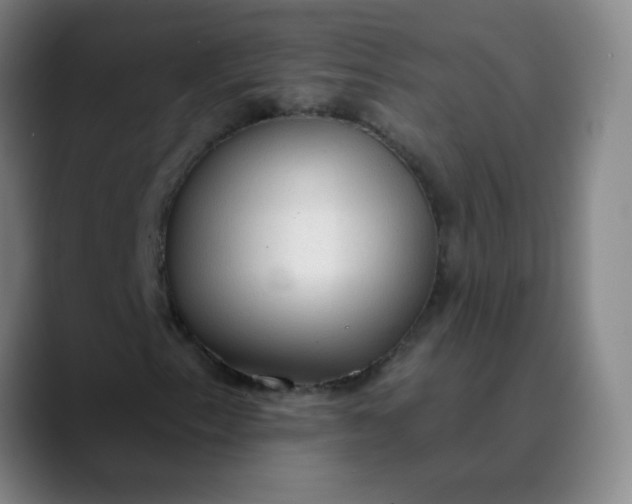 X0000089861153200707121731