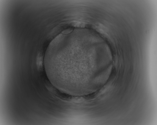 X0000089861154200707121731