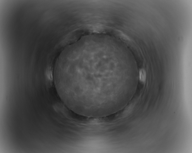 X0000089861155200707121731