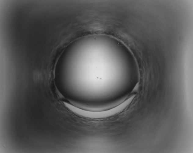 X0000089861157200707121731