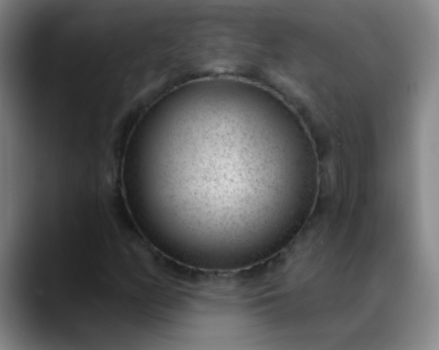 X0000089861158200707121731