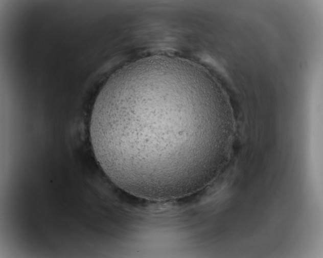 X0000089861159200707121731