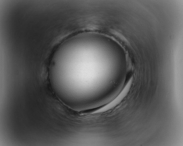 X0000089861160200707121731