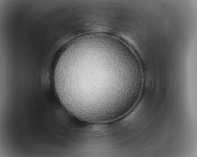 X0000089861163200707121731