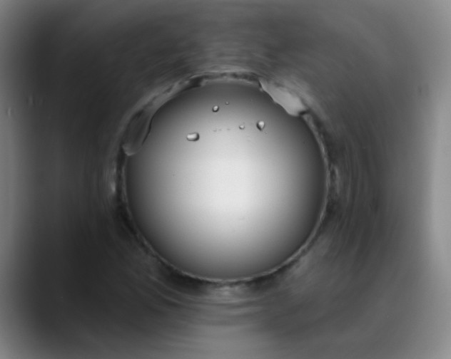 X0000089861165200707121731