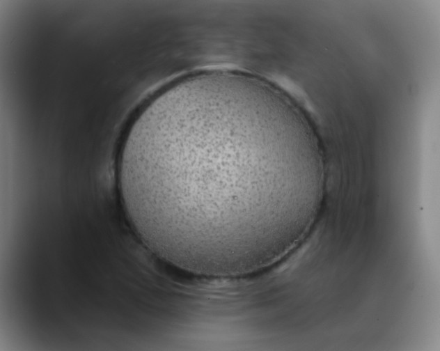 X0000089861167200707121731