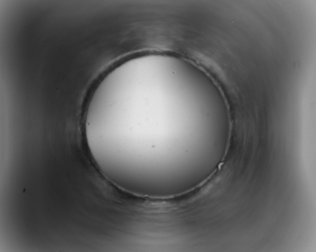 X0000089861168200707121731