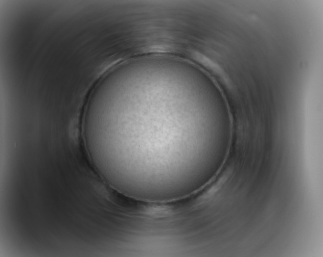 X0000089861170200707121731