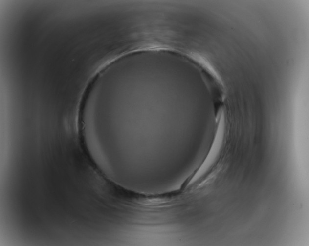 X0000089861173200707121731