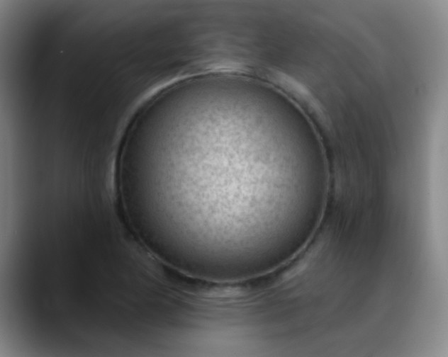 X0000089861174200707121731