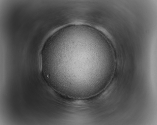 X0000089861175200707121731