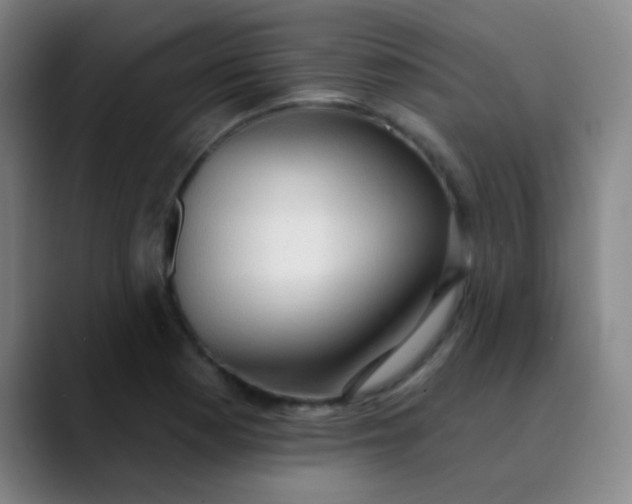 X0000089861177200707121730