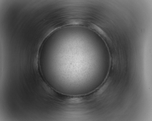 X0000089861178200707121730