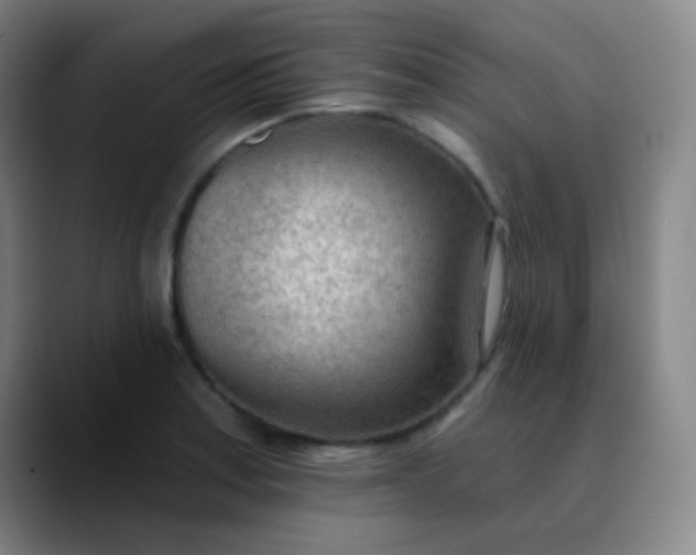 X0000089861179200707121730