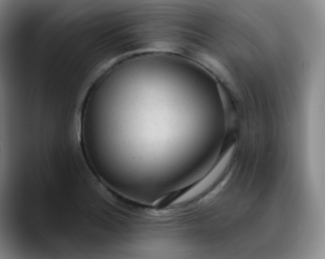 X0000089861180200707121730