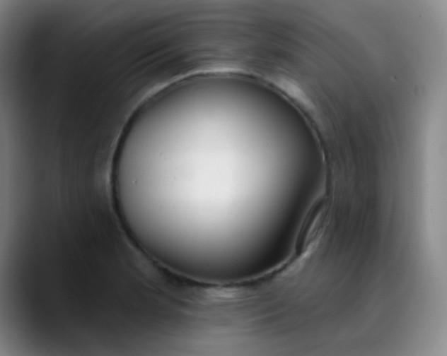 X0000089861181200707121730