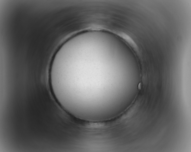 X0000089861183200707121730