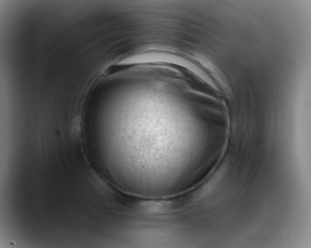 X0000089861185200707121730