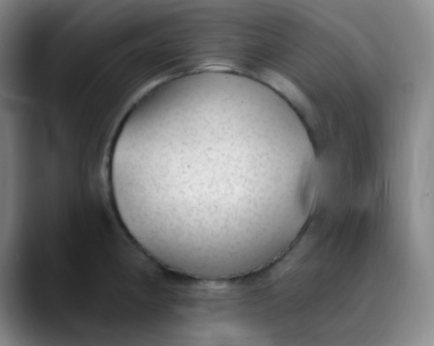 X0000089861190200707121730