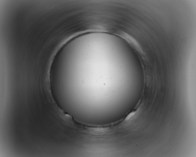 X0000089861192200707121730