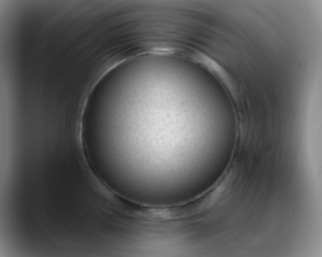 X0000089861194200707121730