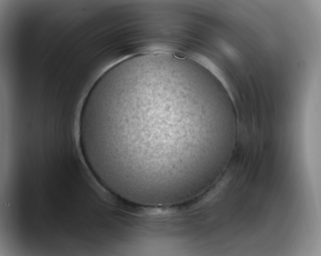 X0000089861195200707121730