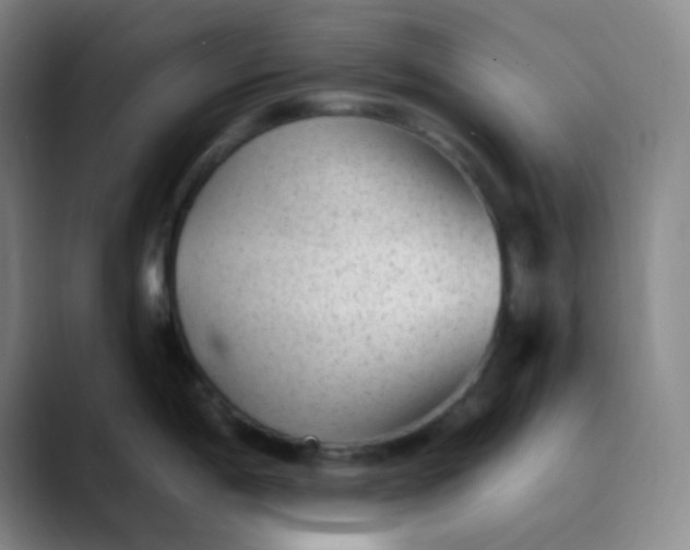 X0000089861198200707121730