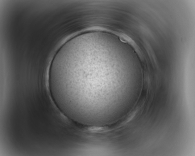 X0000089861199200707121730