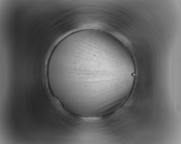 X0000089861200200707121730