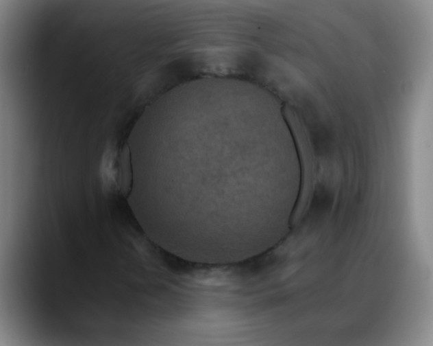 X0000089861202200707121730