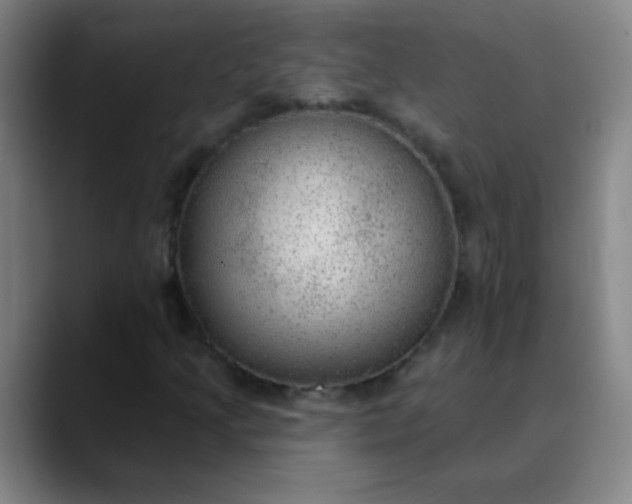 X0000089861205200707121730