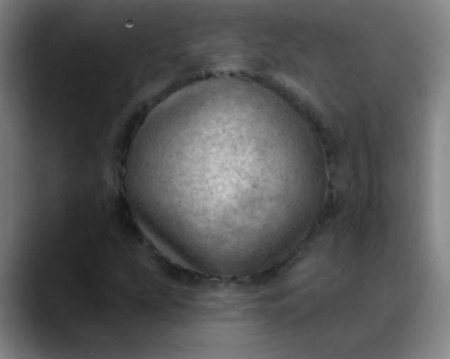 X0000089861207200707121730