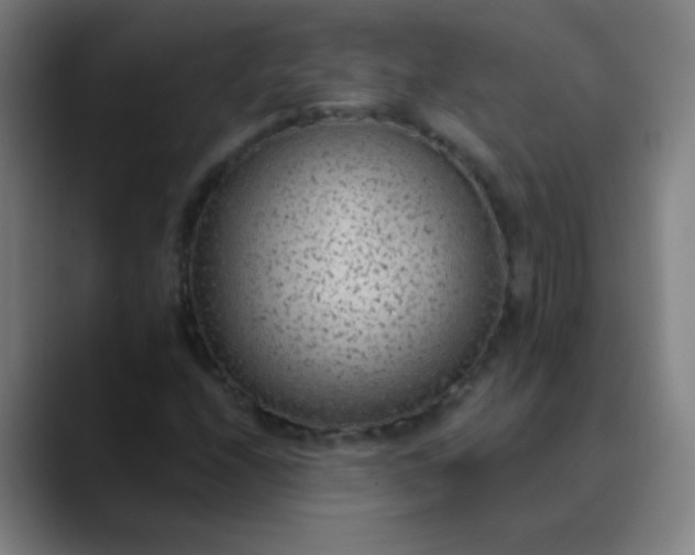 X0000089861208200707121730