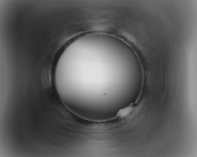 X0000089861214200707121730