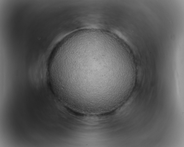 X0000089861215200707121730