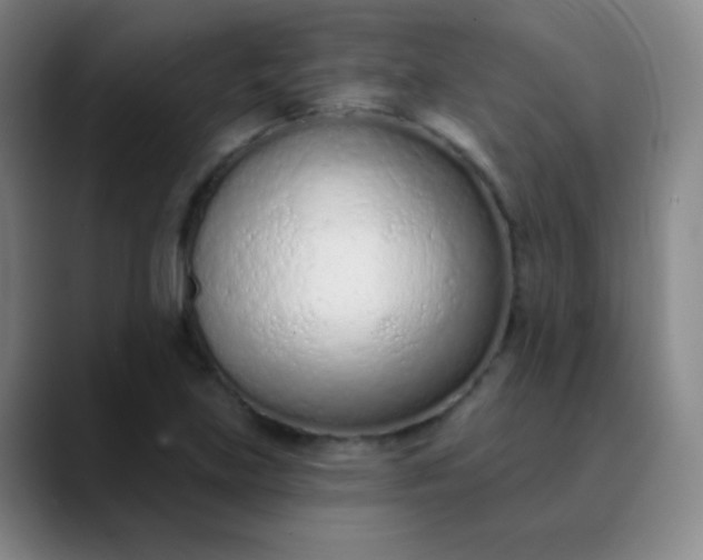 X0000089861219200707121730