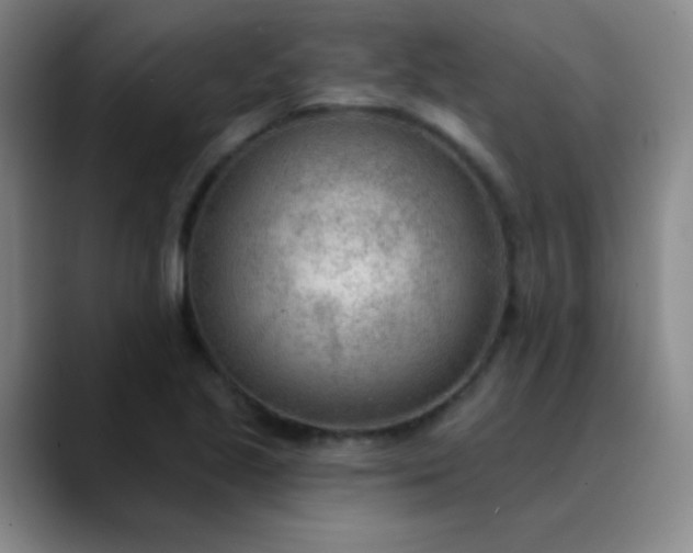 X0000089861221200707121730