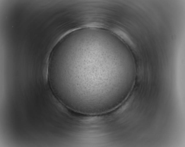 X0000089861228200707121730