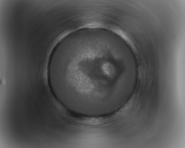 X0000089861229200707121730