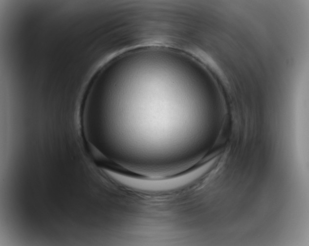 X0000089861230200707121730